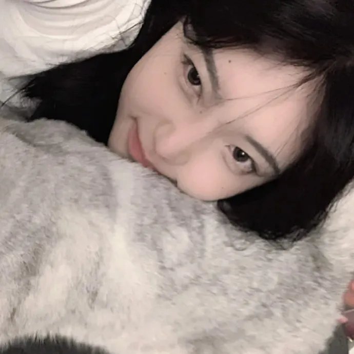 消失的收藏家